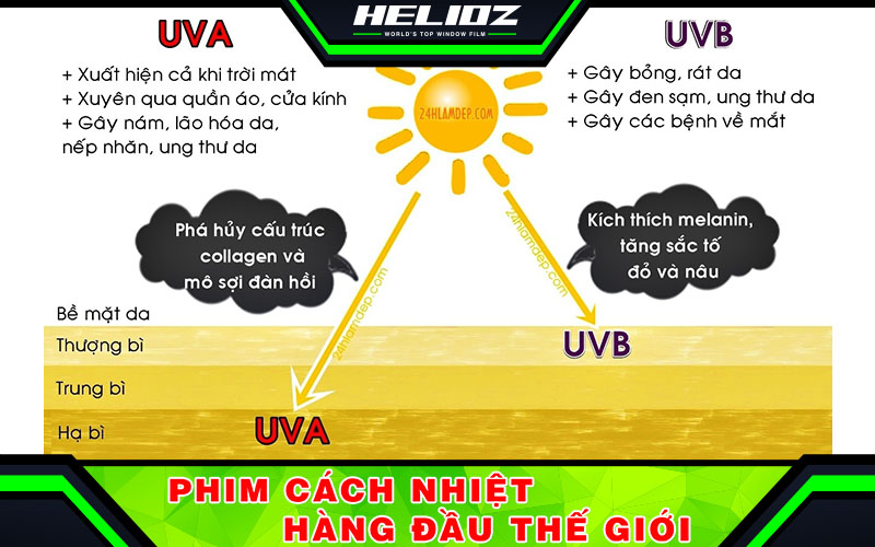 Phim cách nhiệt UV400 là gì? Dán film cách nhiệt UV400 có thực sự cản được 100% tia UV Tia UV là gì? Tác hại của tia UV đến sức khỏe nhất định phải biết?