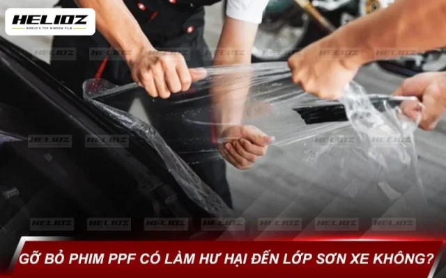 Gỡ bỏ phim PPF đúng kỹ thuật